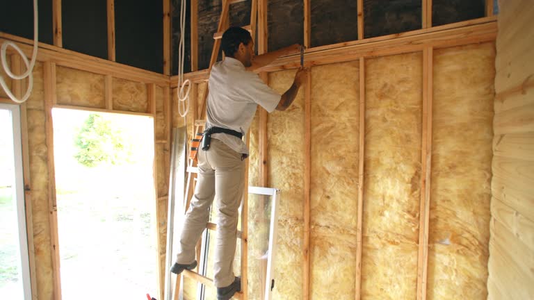 Best Attic Insulation Installation  in Bellerose Terrace, NY