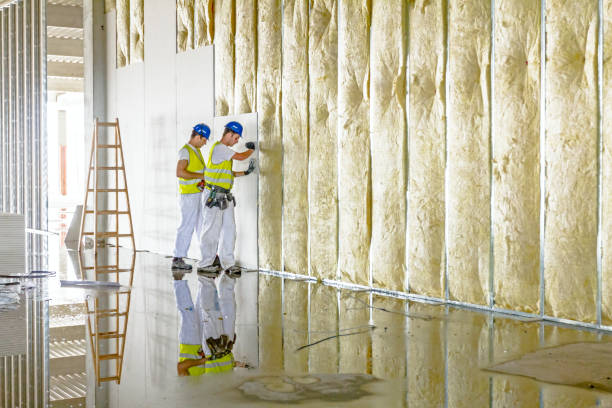 Best Wall Insulation Installation  in Bellerose Terrace, NY